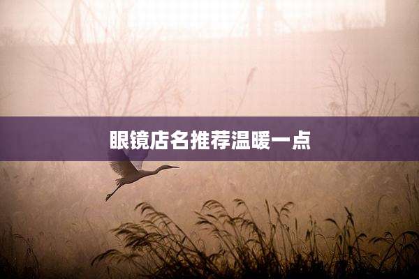 眼镜店名推荐温暖一点