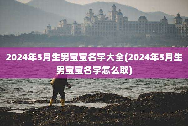 2024年5月生男宝宝名字大全(2024年5月生男宝宝名字怎么取)