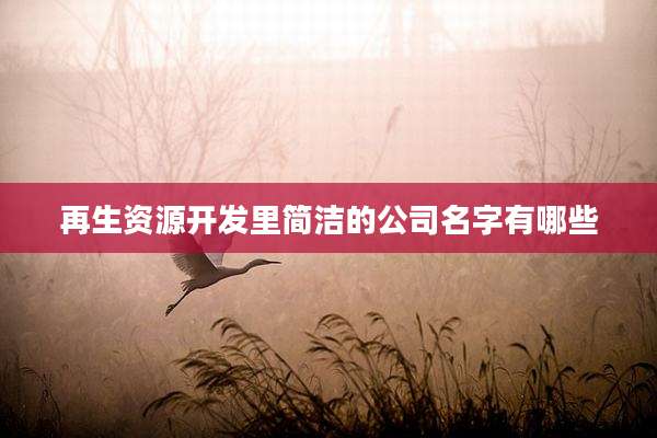 再生资源开发里简洁的公司名字有哪些