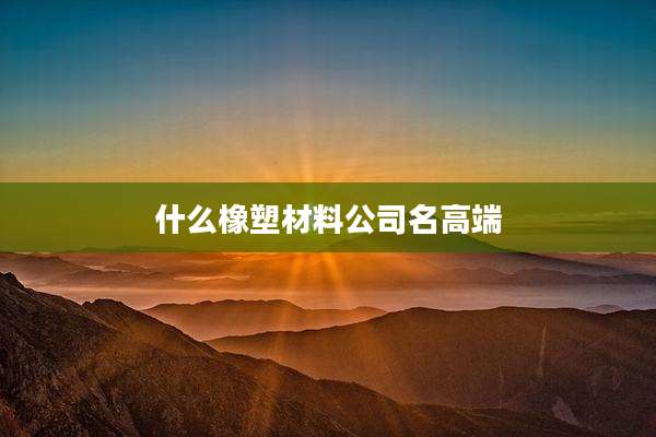什么橡塑材料公司名高端
