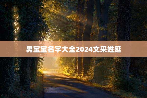 男宝宝名字大全2024文采姓延