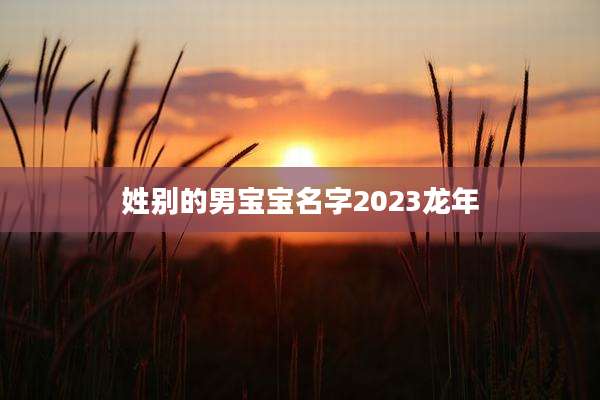 姓别的男宝宝名字2023龙年