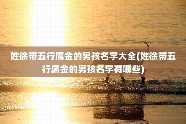 姓徐带五行属金的男孩名字大全(姓徐带五行属金的男孩名字有哪些)