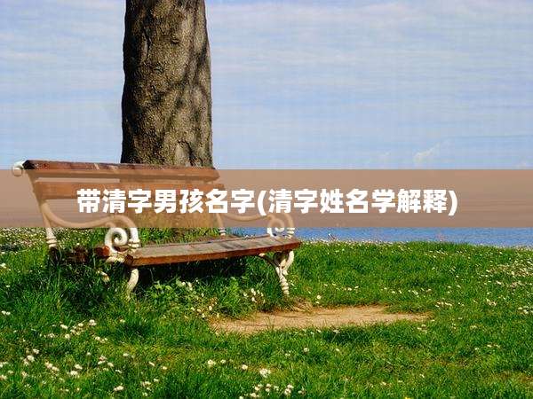 带清字男孩名字(清字姓名学解释)