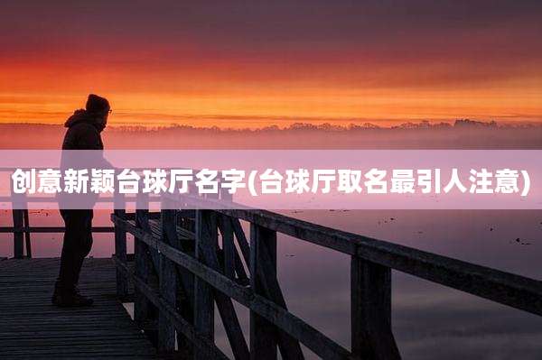 创意新颖台球厅名字(台球厅取名最引人注意)