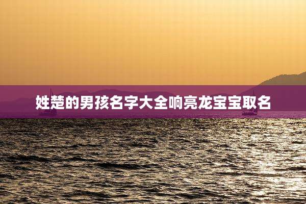 姓楚的男孩名字大全响亮龙宝宝取名