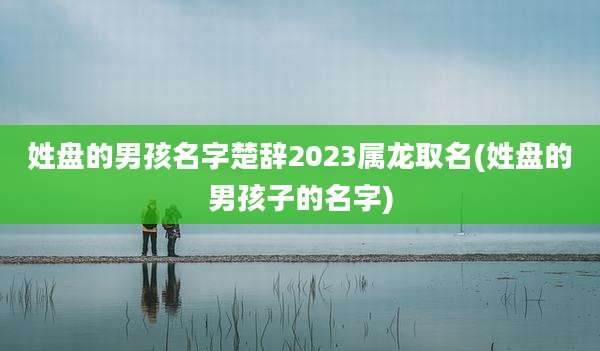 姓盘的男孩名字楚辞2023属龙取名(姓盘的男孩子的名字)