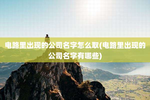 电路里出现的公司名字怎么取(电路里出现的公司名字有哪些)