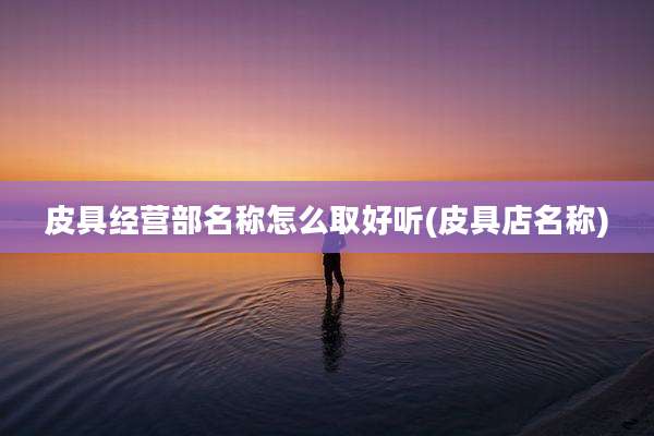 皮具经营部名称怎么取好听(皮具店名称)