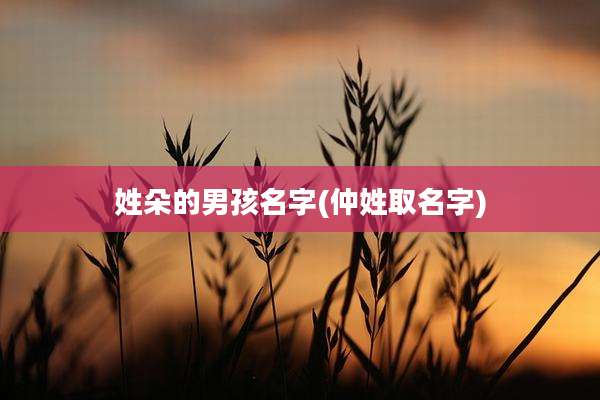 姓朵的男孩名字(仲姓取名字)