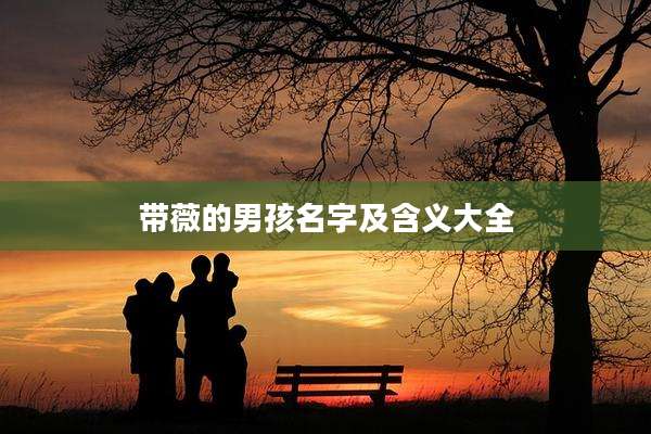 带薇的男孩名字及含义大全