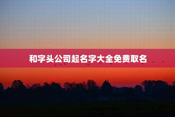 和字头公司起名字大全免费取名