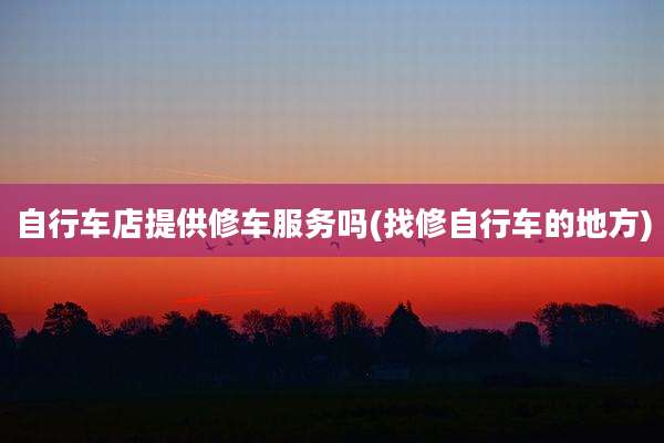 自行车店提供修车服务吗(找修自行车的地方)