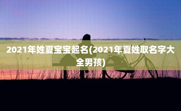 2021年姓夏宝宝起名(2021年夏姓取名字大全男孩)