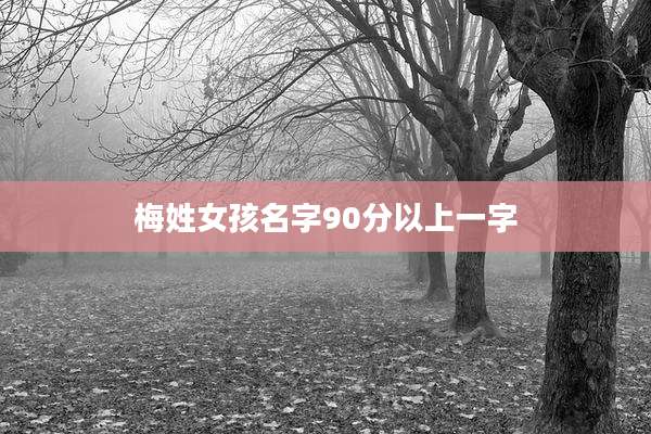 梅姓女孩名字90分以上一字