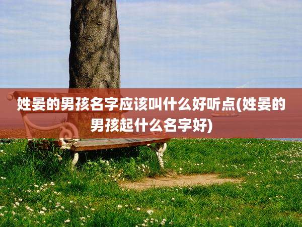 姓晏的男孩名字应该叫什么好听点(姓晏的男孩起什么名字好)