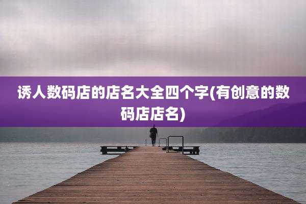 诱人数码店的店名大全四个字(有创意的数码店店名)