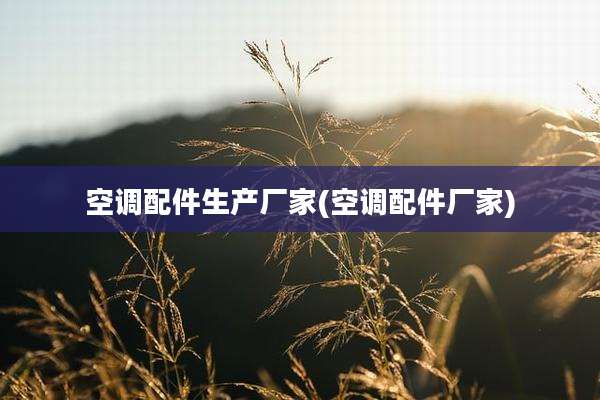 空调配件生产厂家(空调配件厂家)