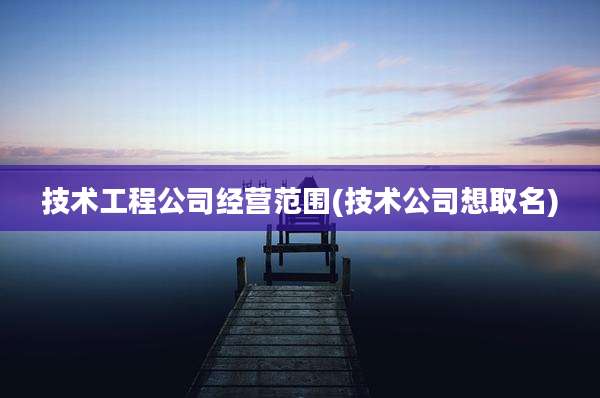 技术工程公司经营范围(技术公司想取名)