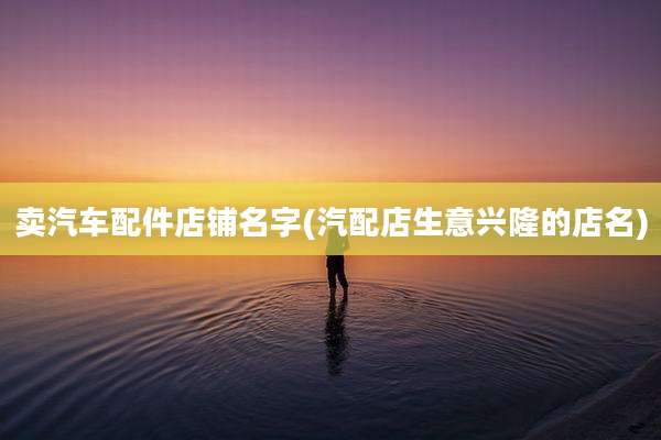 卖汽车配件店铺名字(汽配店生意兴隆的店名)