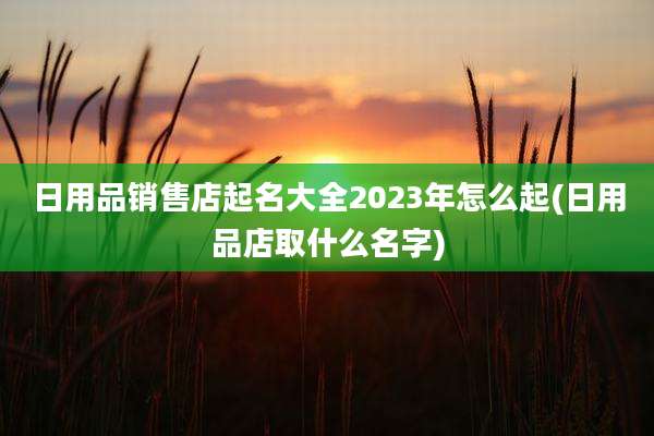 日用品销售店起名大全2023年怎么起(日用品店取什么名字)