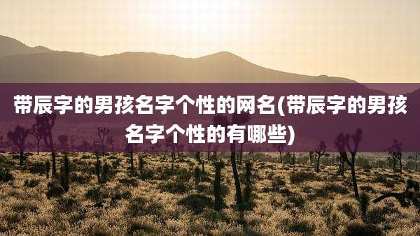 带辰字的男孩名字个性的网名(带辰字的男孩名字个性的有哪些)