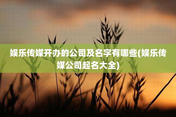 娱乐传媒开办的公司及名字有哪些(娱乐传媒公司起名大全)