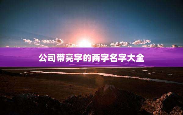 公司带亮字的两字名字大全