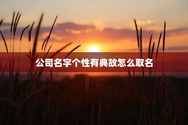 公司名字个性有典故怎么取名