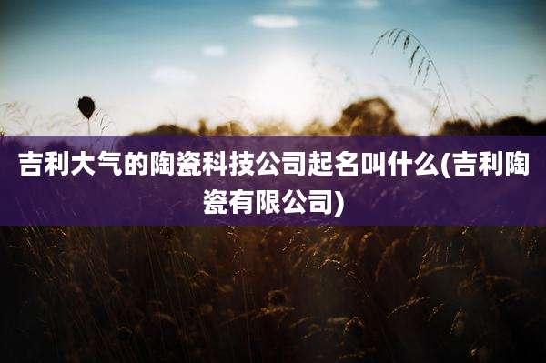 吉利大气的陶瓷科技公司起名叫什么(吉利陶瓷有限公司)