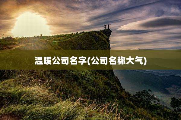 温暖公司名字(公司名称大气)