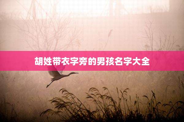 胡姓带衣字旁的男孩名字大全