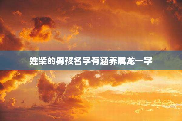 姓柴的男孩名字有涵养属龙一字