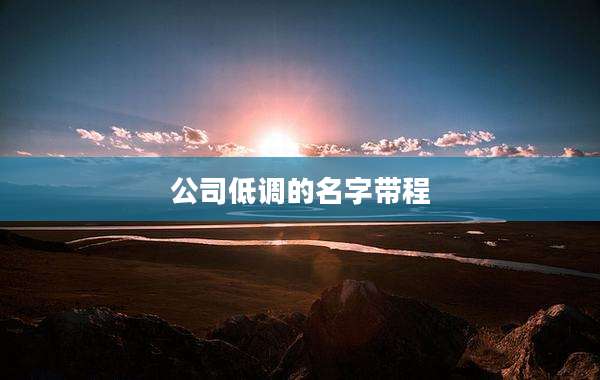 公司低调的名字带程