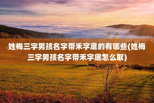 姓梅三字男孩名字带禾字底的有哪些(姓梅三字男孩名字带禾字底怎么取)