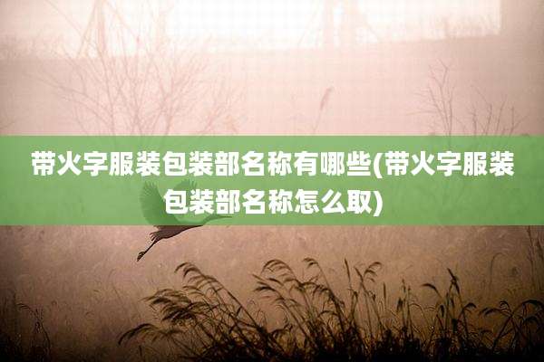 带火字服装包装部名称有哪些(带火字服装包装部名称怎么取)
