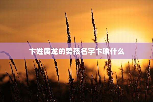 卞姓属龙的男孩名字卞瑜什么