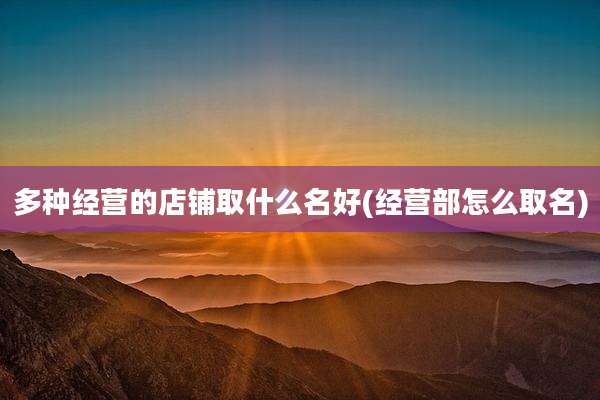 多种经营的店铺取什么名好(经营部怎么取名)