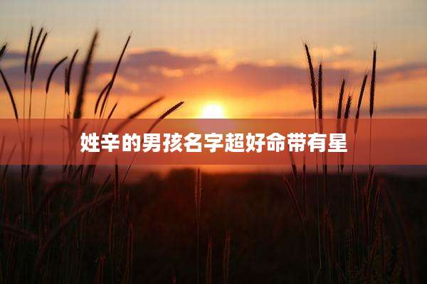 姓辛的男孩名字超好命带有星
