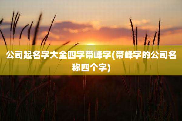 公司起名字大全四字带峰字(带峰字的公司名称四个字)