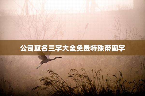 公司取名三字大全免费特殊带固字