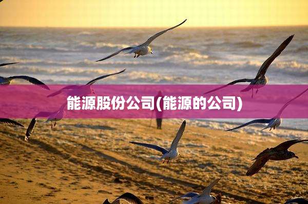 能源股份公司(能源的公司)