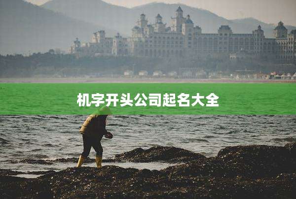 机字开头公司起名大全
