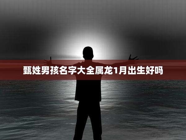 甄姓男孩名字大全属龙1月出生好吗