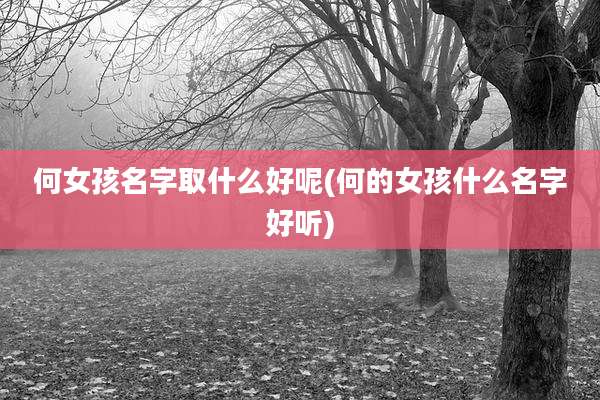 何女孩名字取什么好呢(何的女孩什么名字好听)