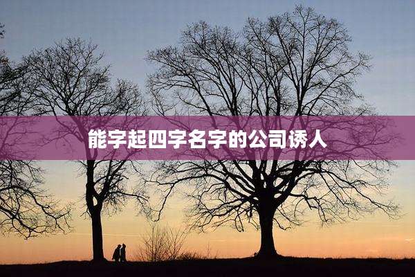 能字起四字名字的公司诱人