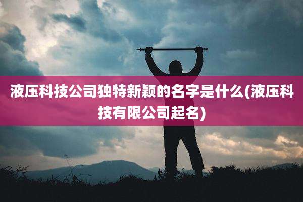 液压科技公司独特新颖的名字是什么(液压科技有限公司起名)