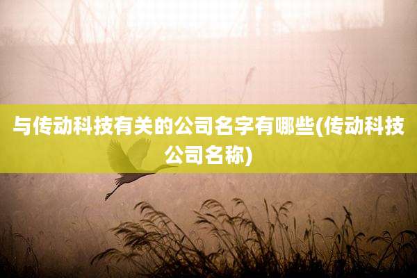 与传动科技有关的公司名字有哪些(传动科技公司名称)
