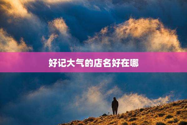 好记大气的店名好在哪