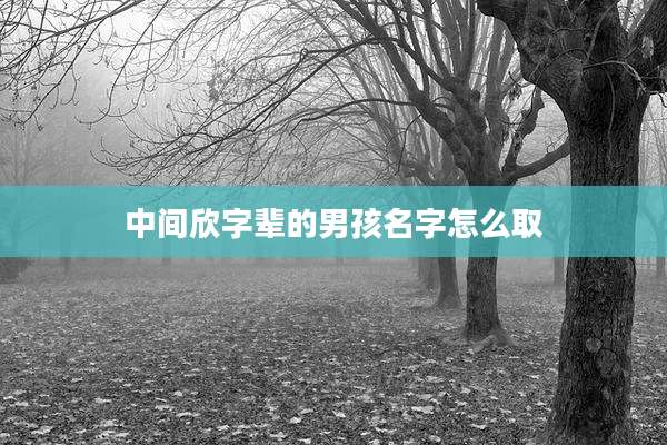 中间欣字辈的男孩名字怎么取